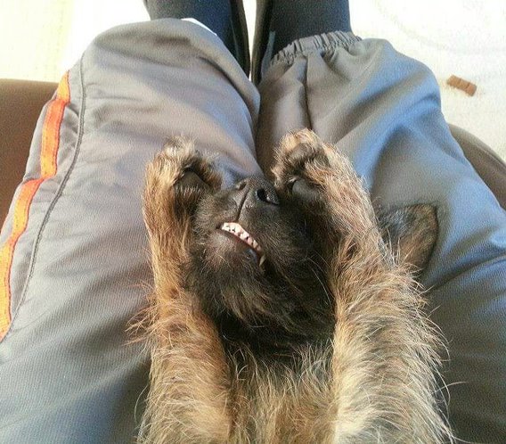 Hemi’s toothy smile
