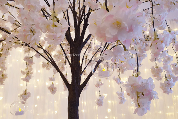 Blossom Trees